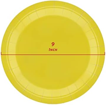 50 PCS 9 Inch Colorful Disposable Paper Plates