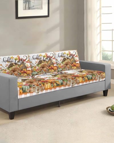 Thanksgiving Squirrel Orange Sofa Cushion Covers