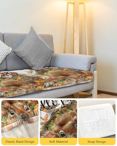 Thanksgiving Squirrel Orange Sofa Cushion Covers