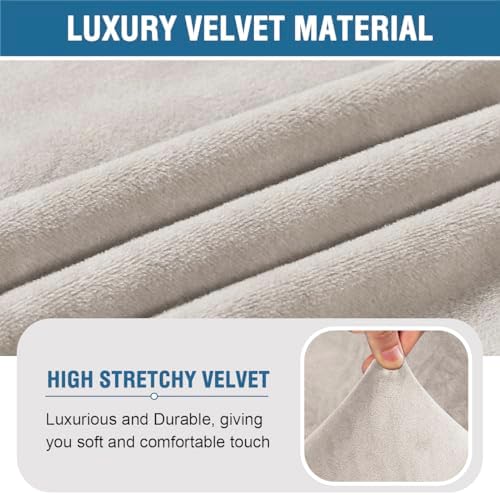 HVERSAILTEX Velvet Chair Cover for Living Room