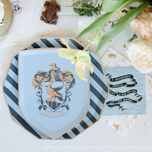 Harry Potter Hogwarts House Large Paper Plates 8 Pack