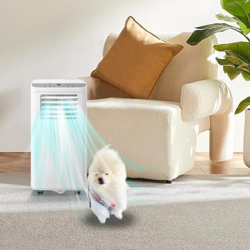 WANAI 8000 BTU Portable AC Cooler for 250 Sq Ft