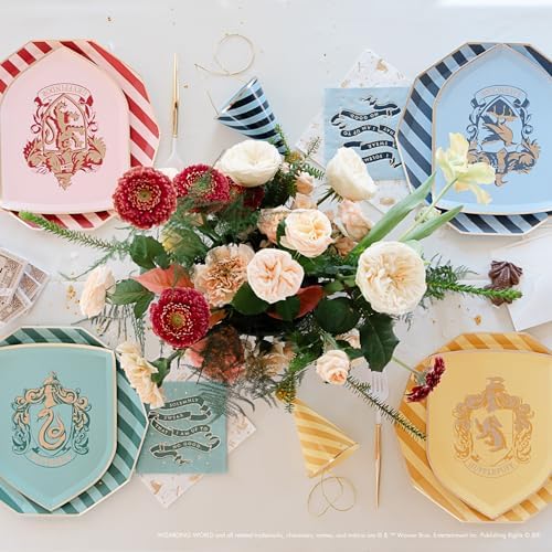 Harry Potter Hogwarts House Large Paper Plates 8 Pack