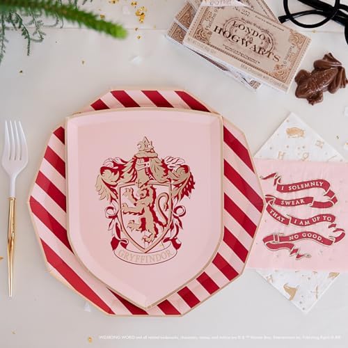 Harry Potter Hogwarts House Large Paper Plates 8 Pack